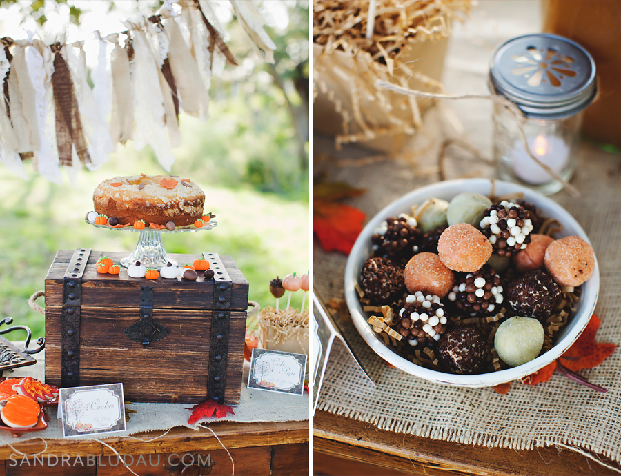 Rustic Fall Baby Shower from Whimsically Detailed Events