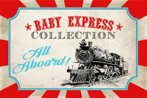Baby Express Train Baby Shower